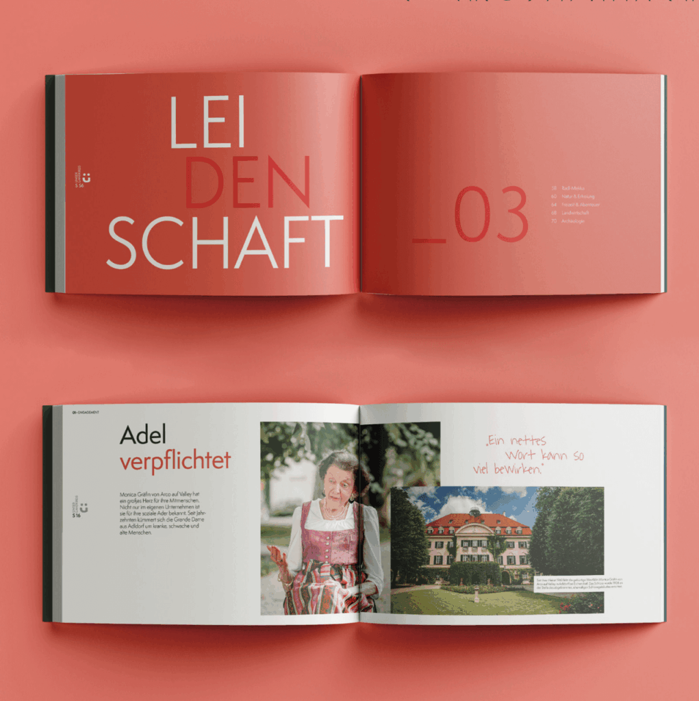 Landkreis Dingolfing-Landau Buch-Element mit Seitenansicht